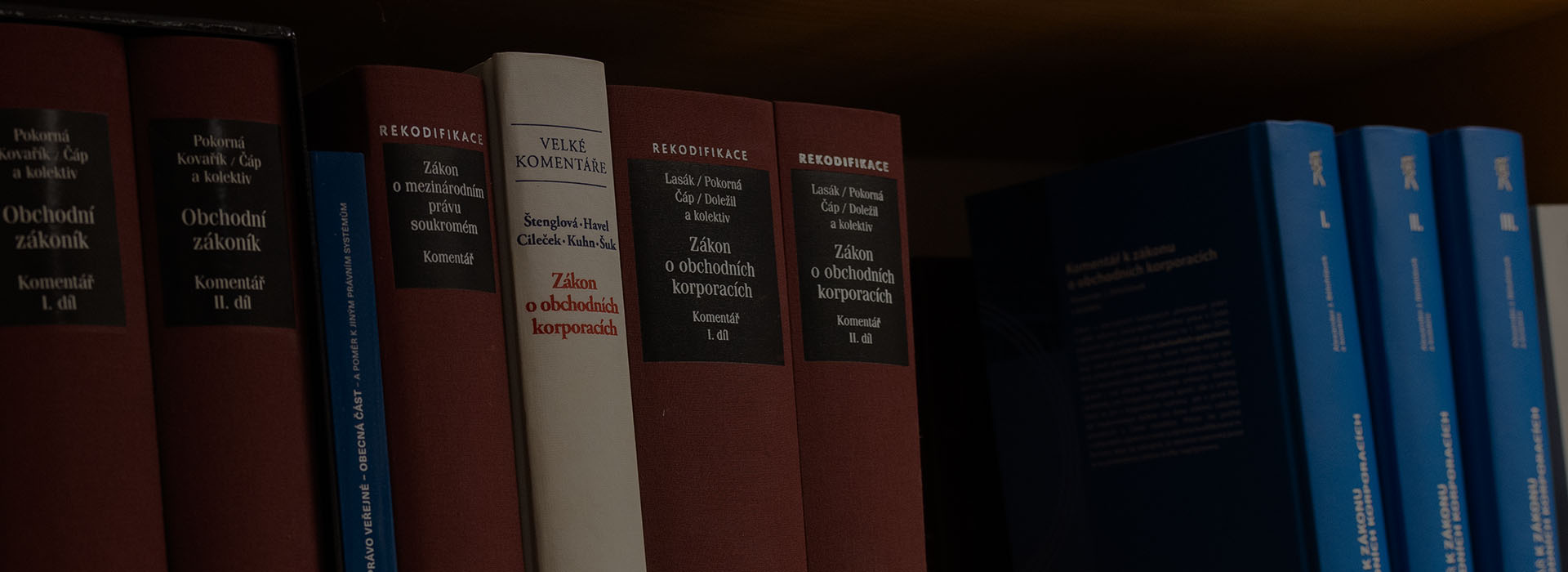 Notářka Lucie Kavanová